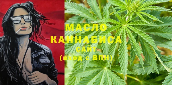 шишки Снежногорск